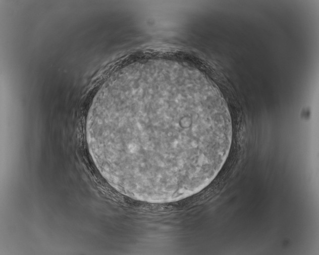 X0000114551397200911301214