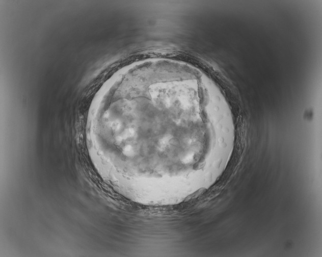 X0000114551399200911301214