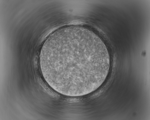 X0000114551401200911301214