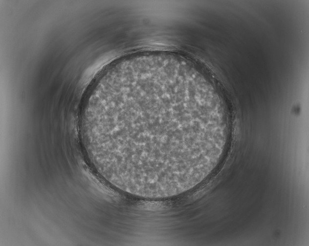 X0000114551402200911301214