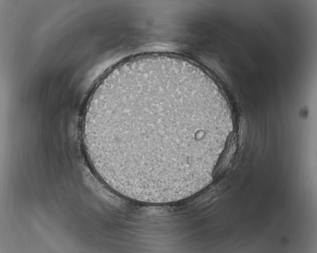 X0000114551404200911301214