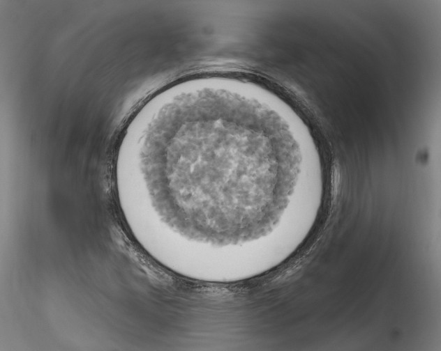 X0000114551405200911301214