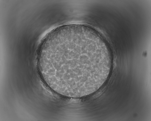 X0000114551406200911301214