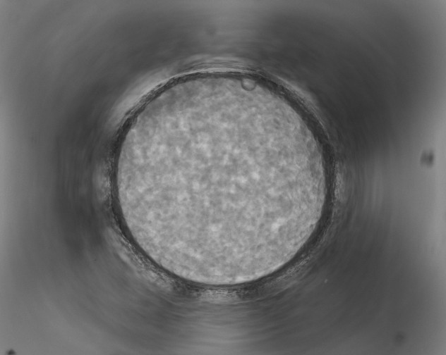 X0000114551407200911301214