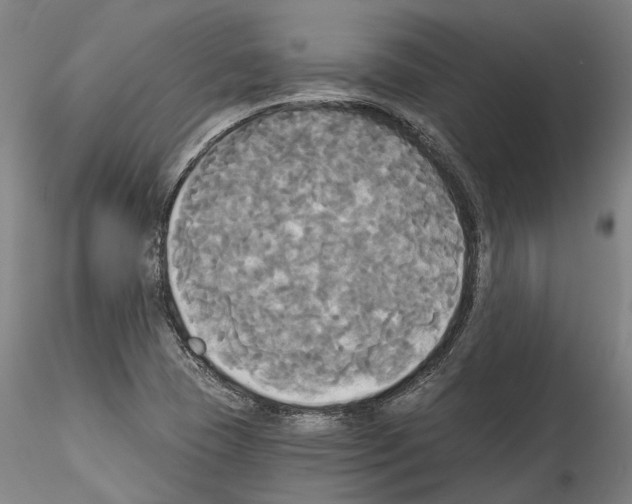 X0000114551409200911301214