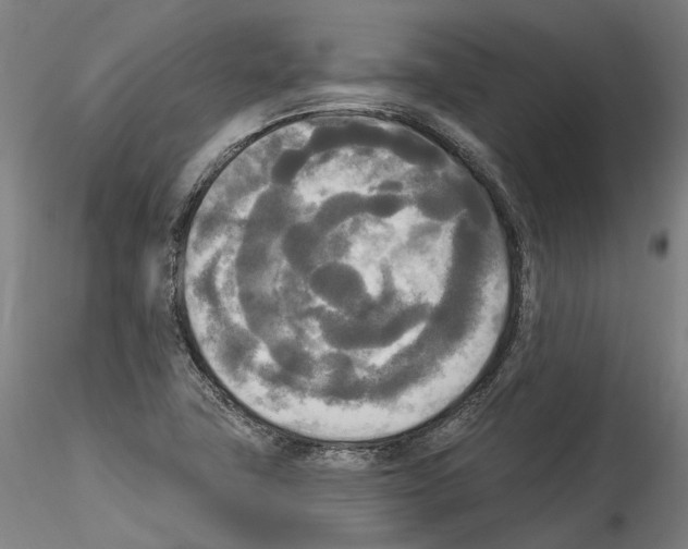 X0000114551411200911301214