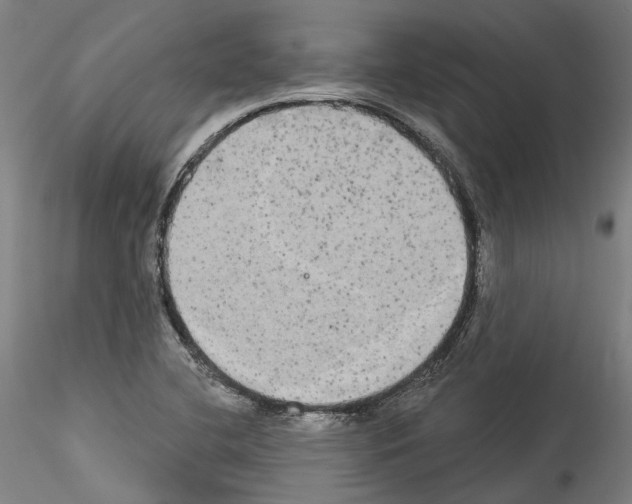 X0000114551412200911301214