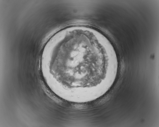 X0000114551413200911301214