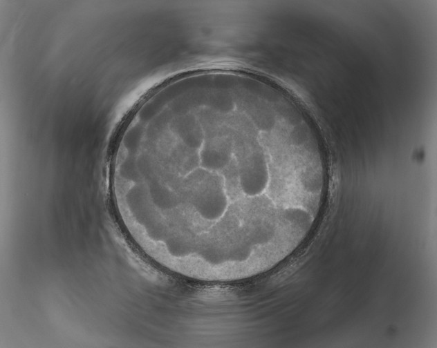 X0000114551414200911301214