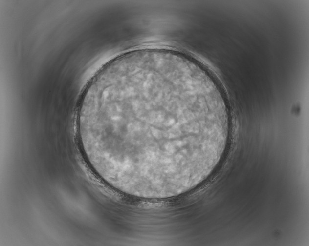 X0000114551415200911301214