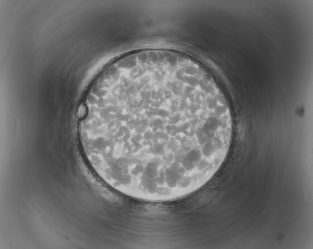 X0000114551416200911301214