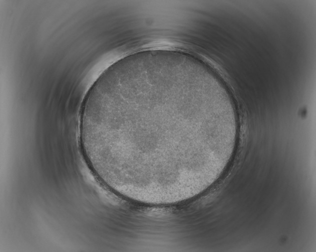X0000114551418200911301214