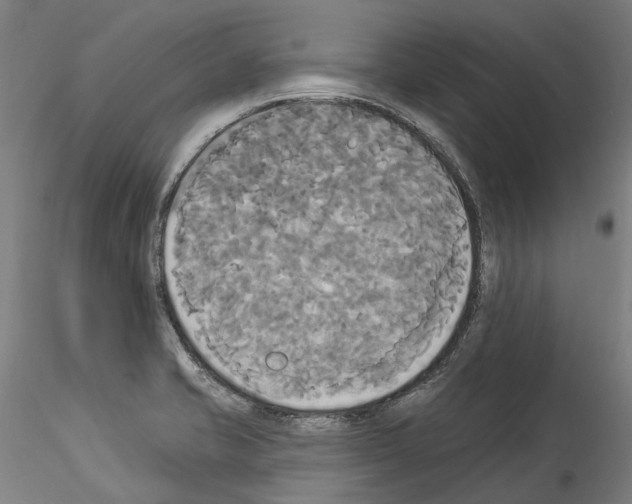 X0000114551421200911301214