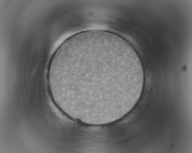 X0000114551422200911301214