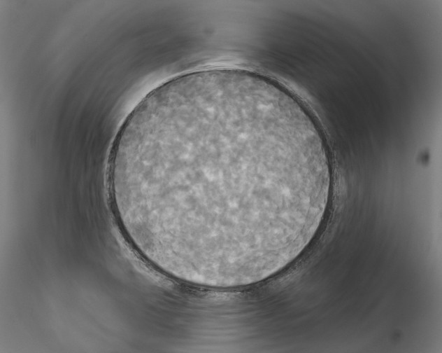 X0000114551423200911301214