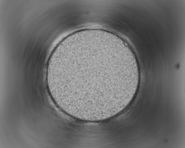 X0000114551424200911301214