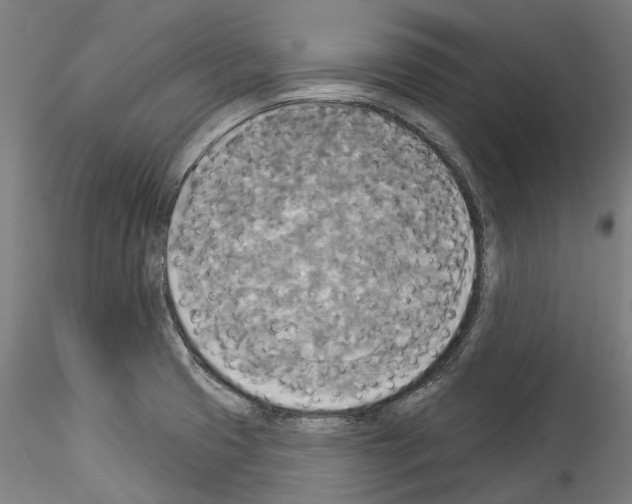 X0000114551425200911301214