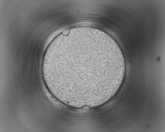 X0000114551426200911301214
