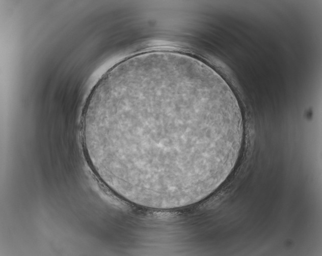 X0000114551427200911301214