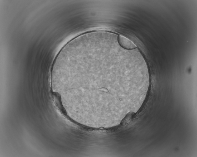 X0000114551428200911301214