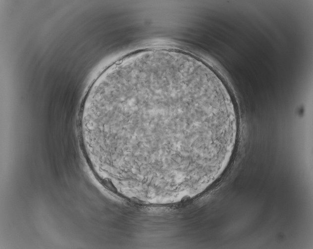 X0000114551429200911301214