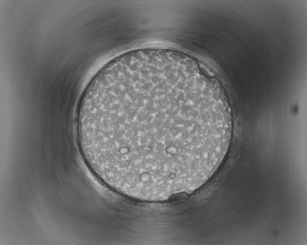 X0000114551430200911301214