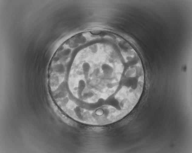 X0000114551431200911301214