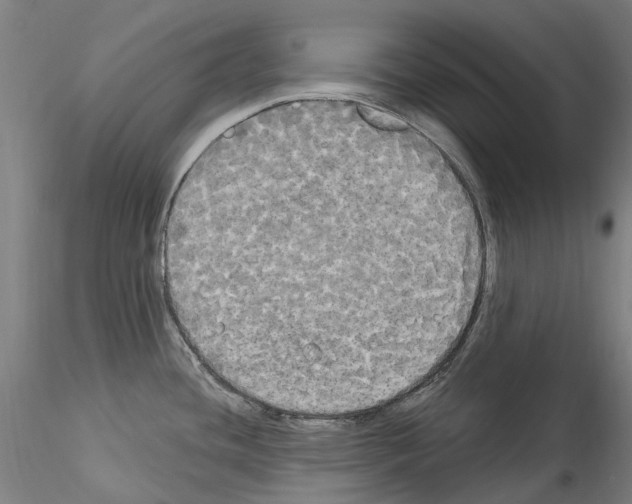 X0000114551436200911301214