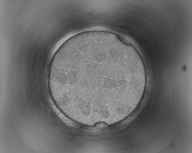 X0000114551438200911301214