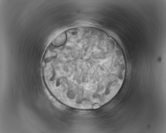 X0000114551439200911301214