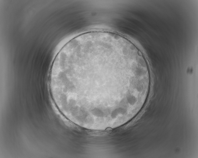 X0000114551440200911301214