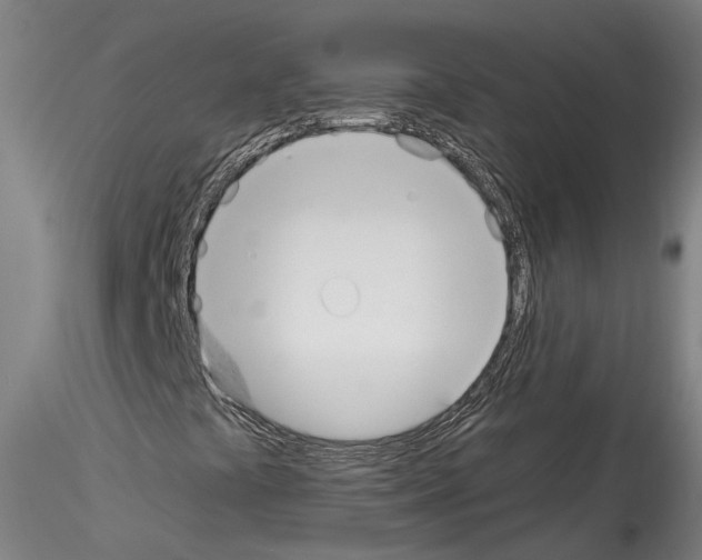 X0000114551441200911301214