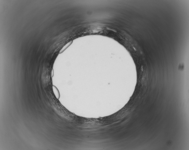 X0000114551442200911301214
