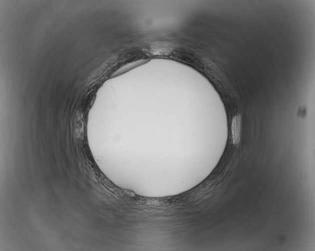 X0000114551443200911301214