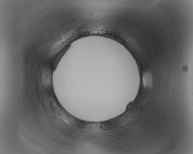 X0000114551444200911301214