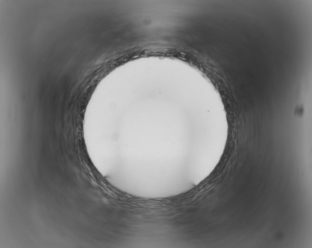 X0000114551445200911301214