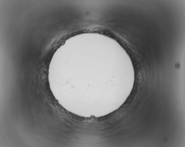 X0000114551447200911301214