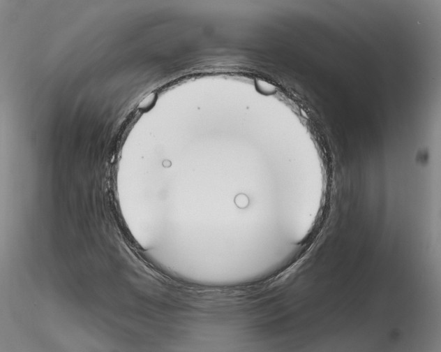 X0000114551449200911301214