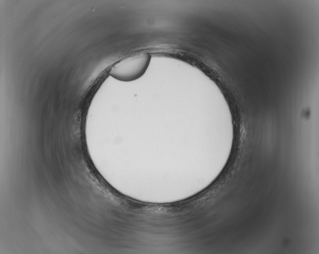 X0000114551450200911301214