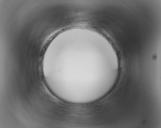 X0000114551452200911301214