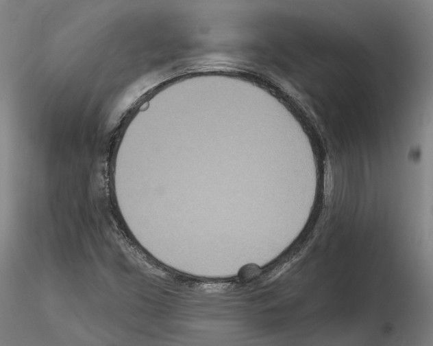 X0000114551453200911301214