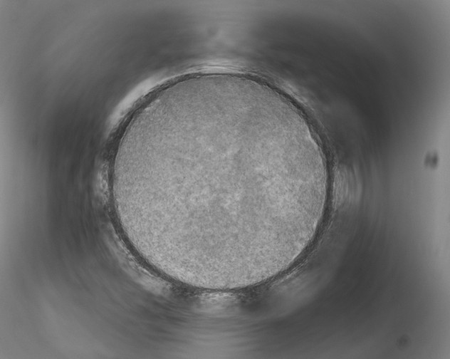 X0000114551454200911301214