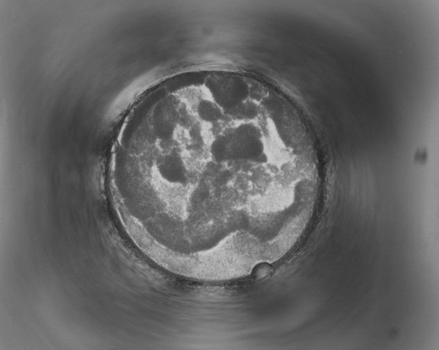 X0000114551455200911301214