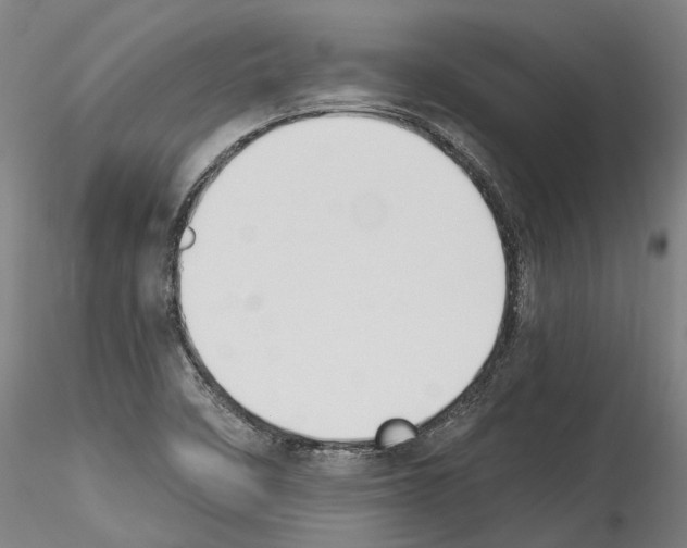 X0000114551458200911301214