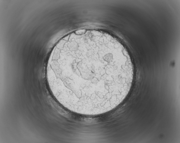 X0000114551459200911301214
