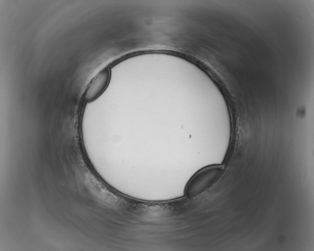 X0000114551460200911301214