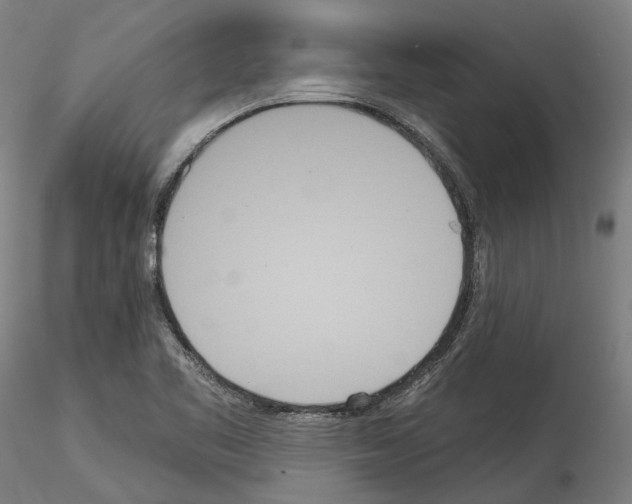 X0000114551461200911301213