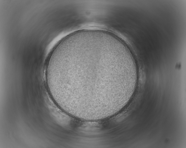X0000114551462200911301213