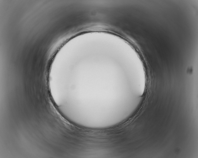 X0000114551464200911301213