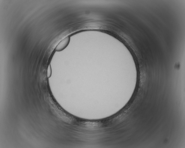 X0000114551465200911301213